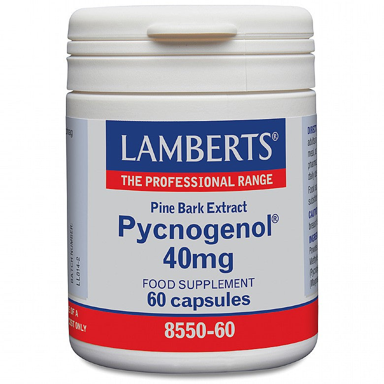 Pycnogenol x 60