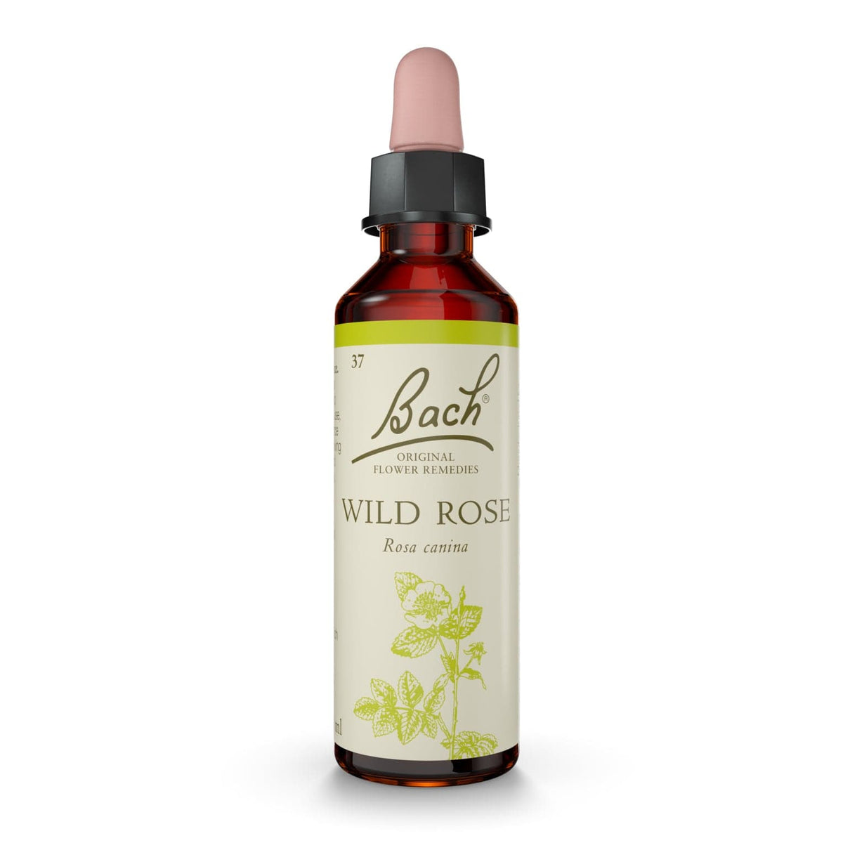 Bach Original Flower Remedies