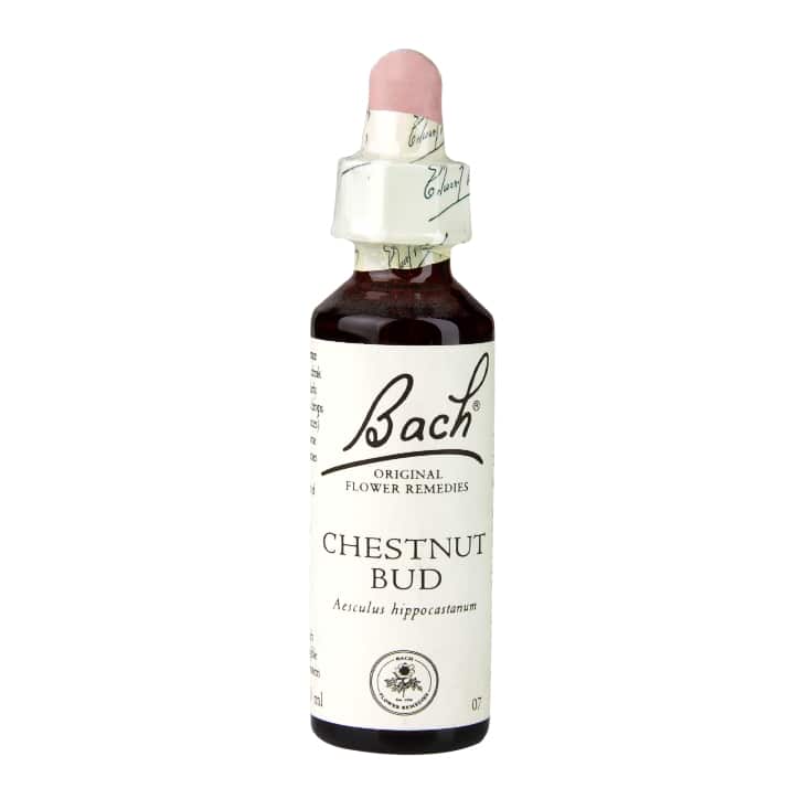 Bach Original Flower Remedies