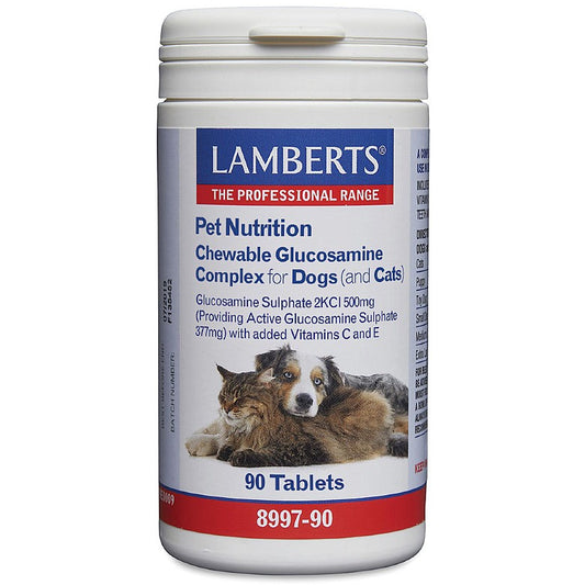 Chewable Glucosamine Complex for Dogs (and Cats)