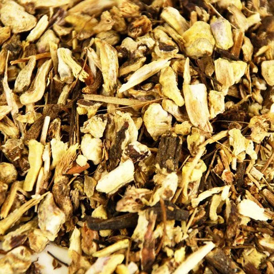 Echinacea