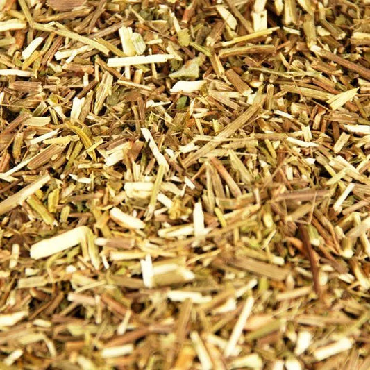 Vervain