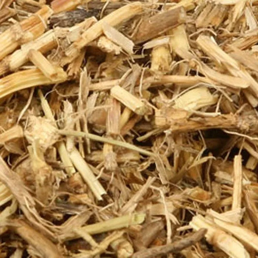 Couch Grass