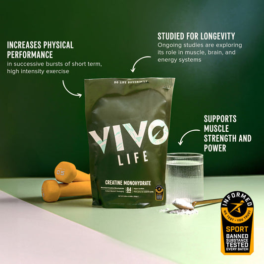 Vivo Life Creatine Monohydrate