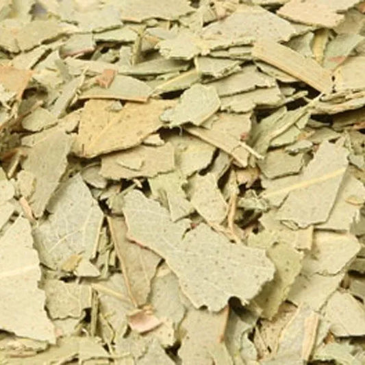 Eucalyptus