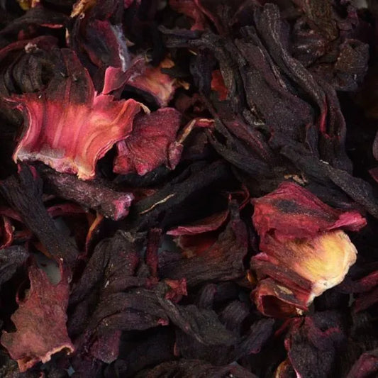 Hibiscus