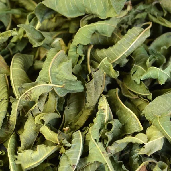 Lemon Verbena