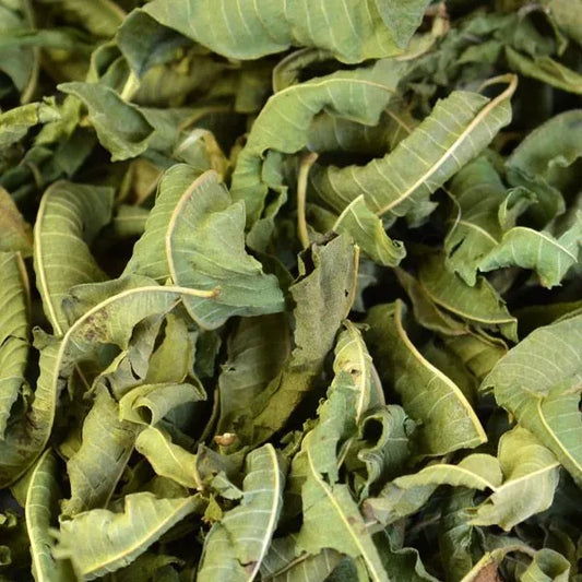 Lemon Verbena
