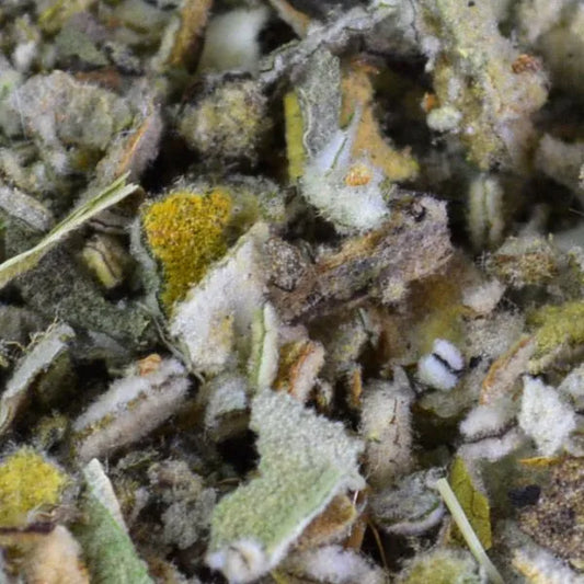 Mullein