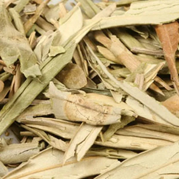 Olive Leaf
