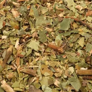 Pine Needles