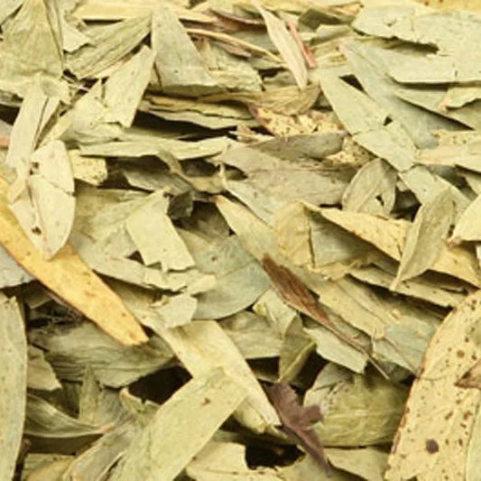 Senna Leaf
