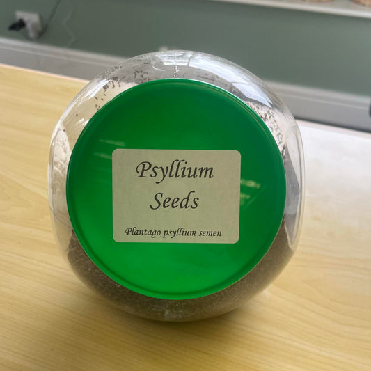 Psyllium Seeds